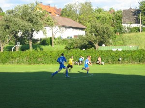 Copy of 134 3419 50p