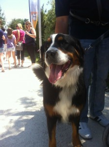 Copy of IMG 4824 50p